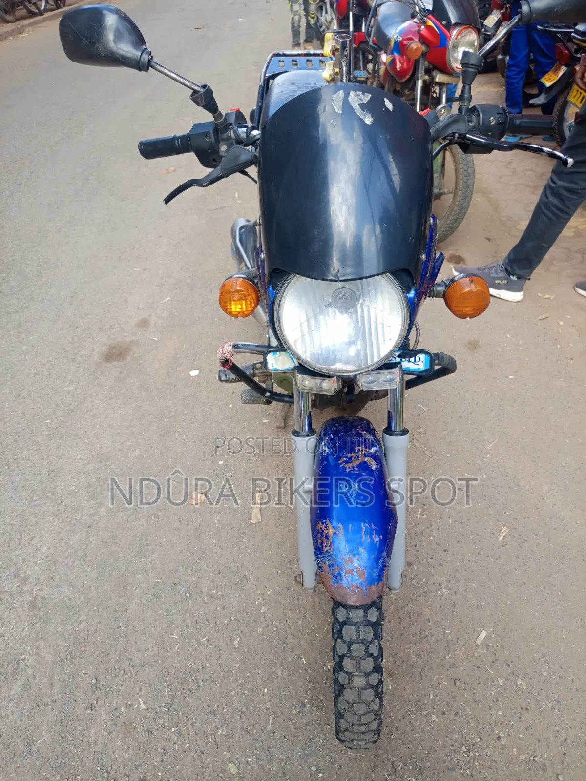 Honda 2025 Blue