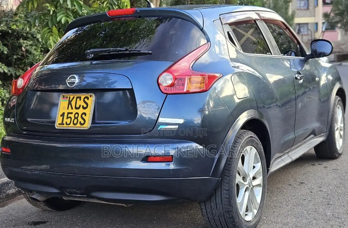 Nissan Juke 2011 Blue