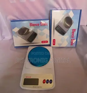 Dt610 Blance Scale