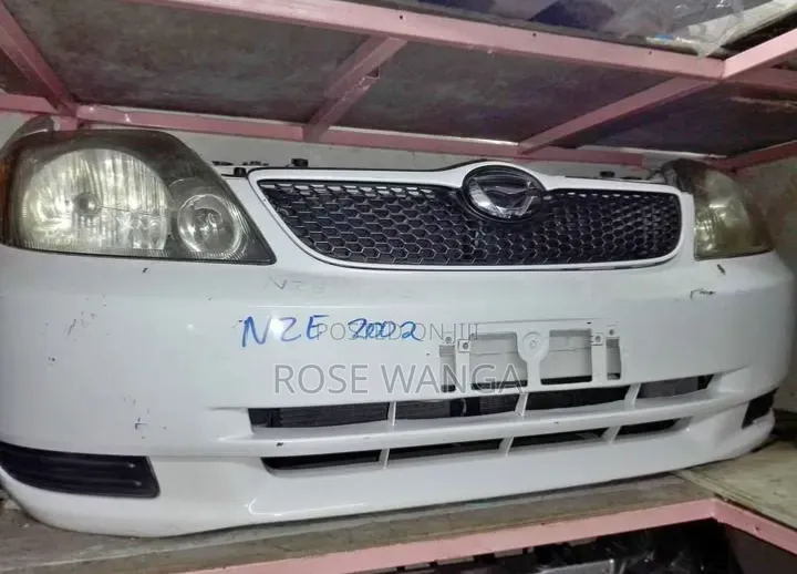 Nze 2002 /2003 Nosecut