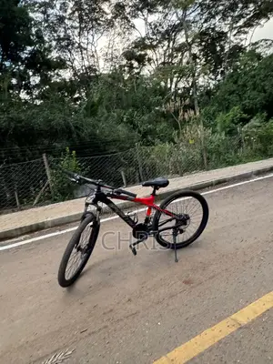 Bicycle Spartan Alloy 370 2023