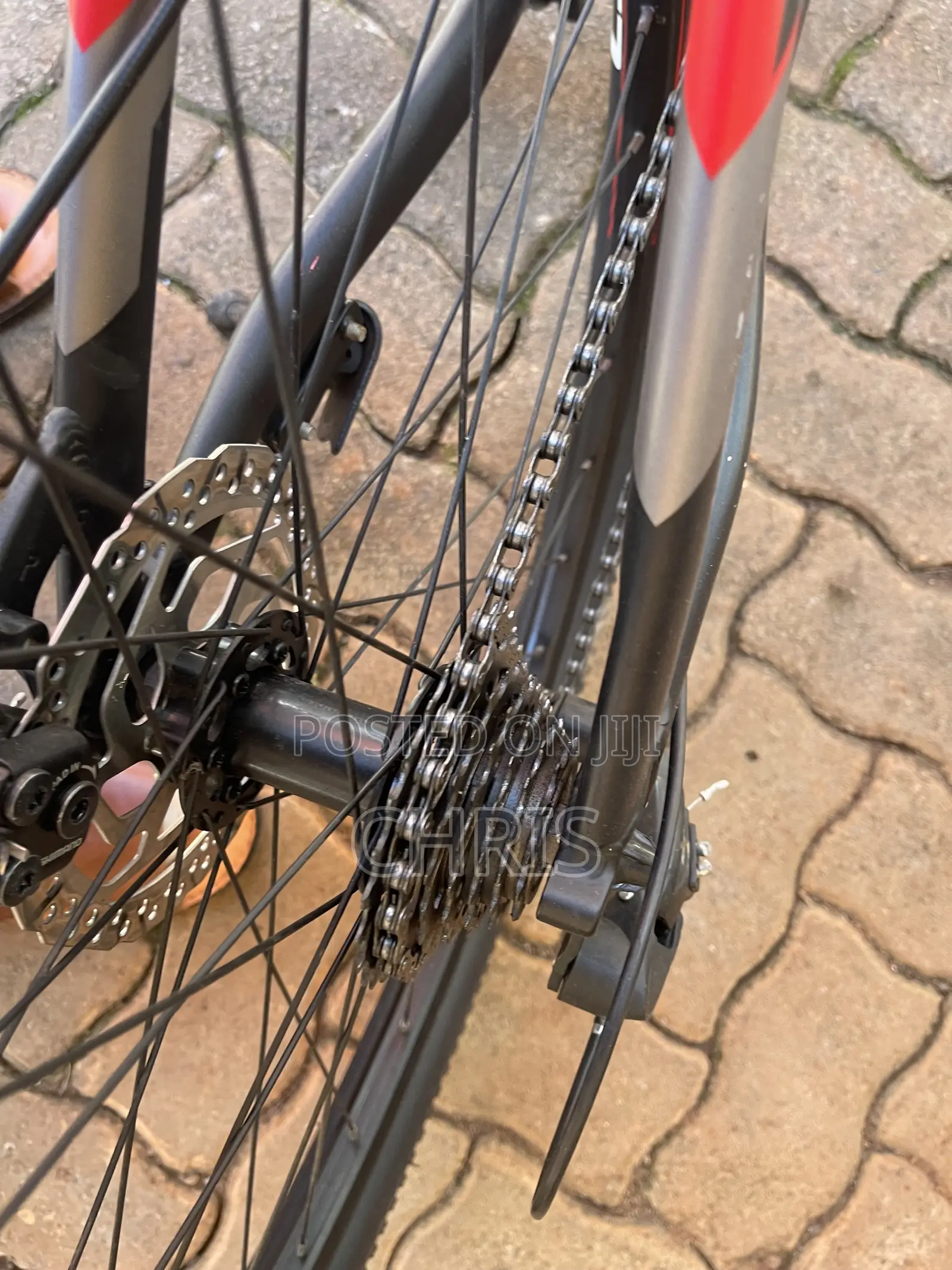 Bicycle Spartan Alloy 370 2023