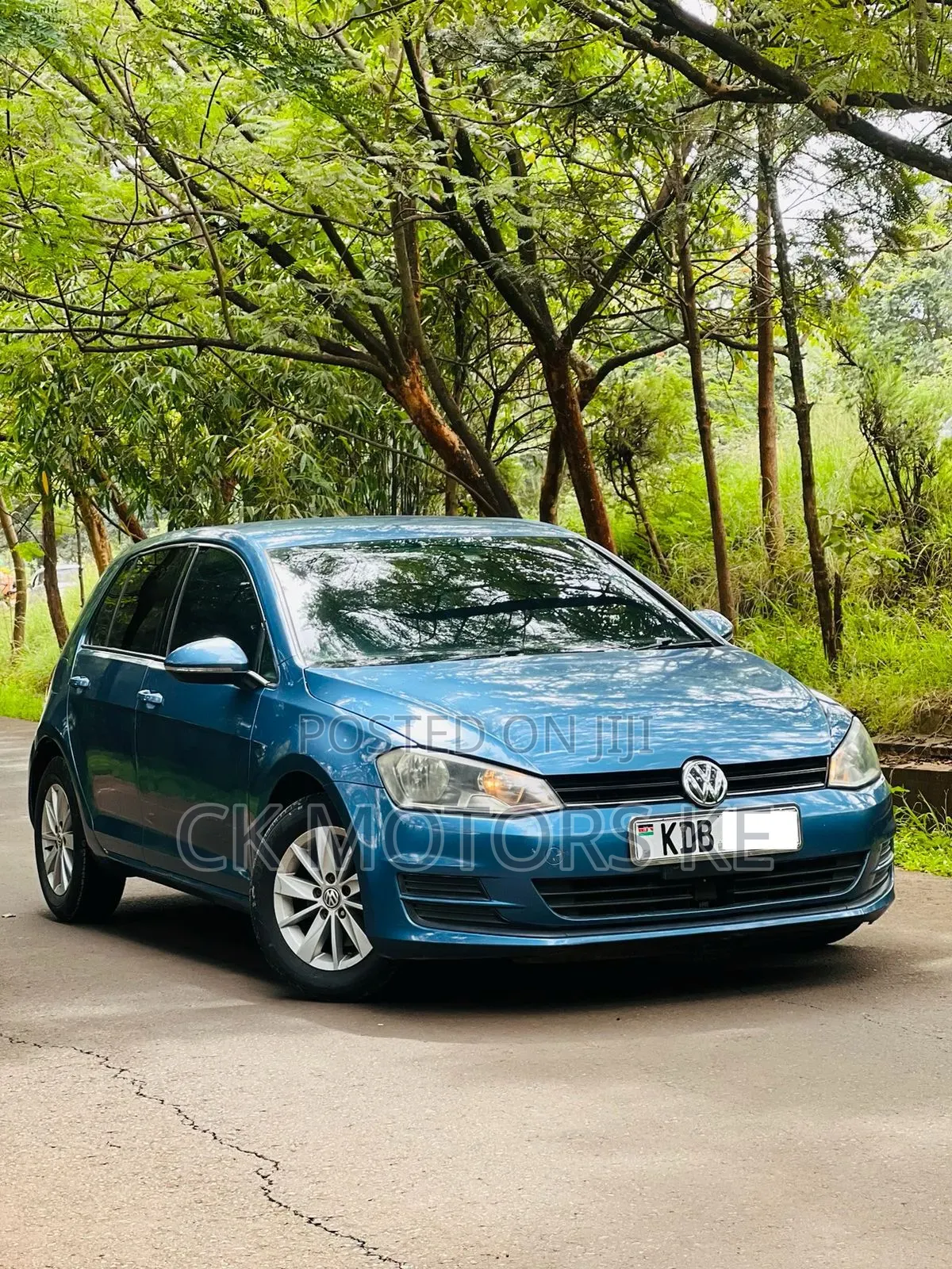 Volkswagen Golf 2013 Blue