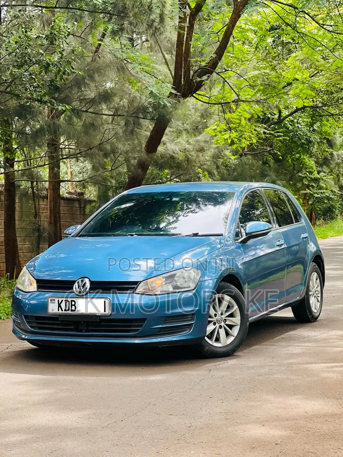 Volkswagen Golf 2013 Blue