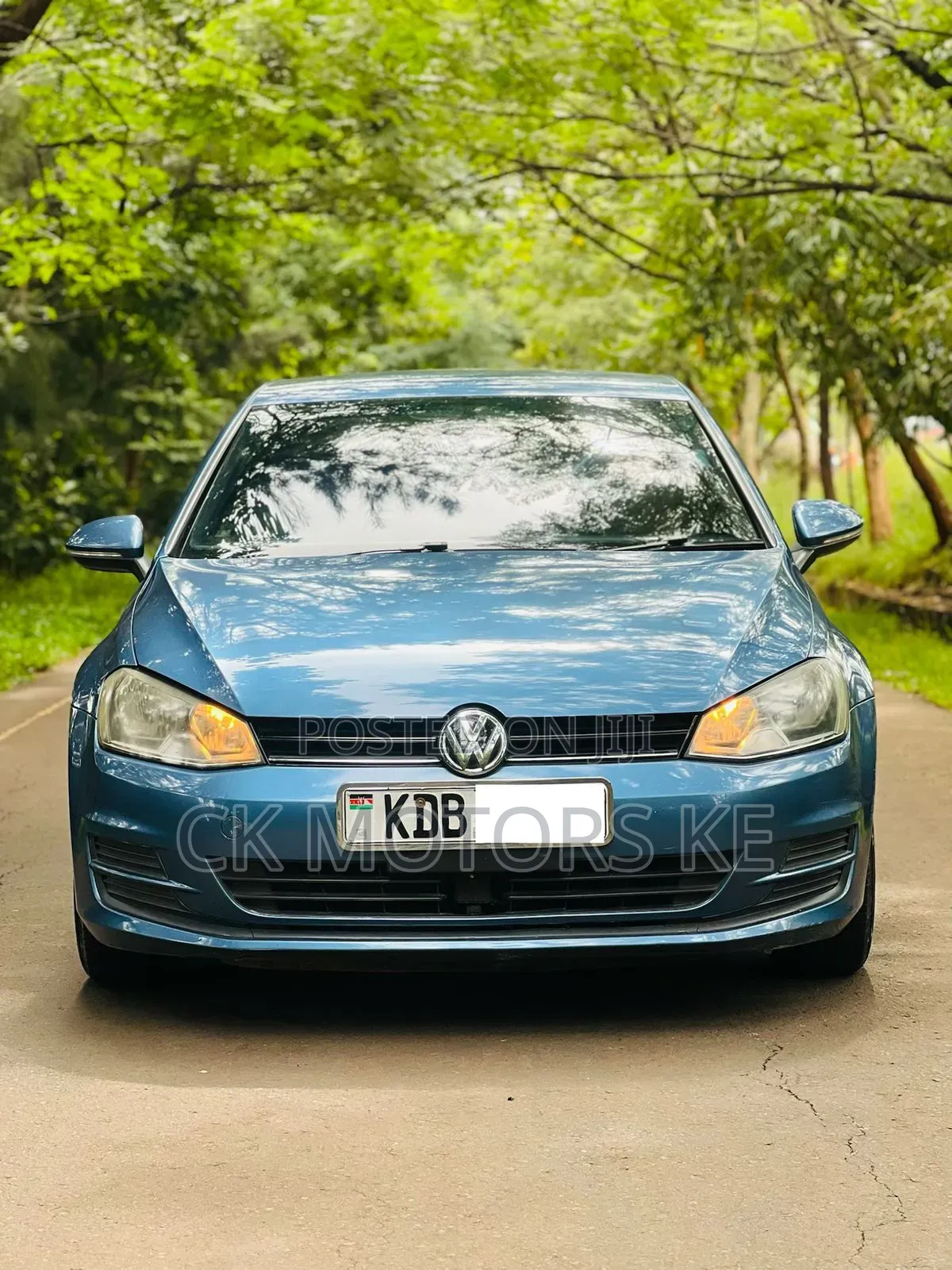 Volkswagen Golf 2013 Blue