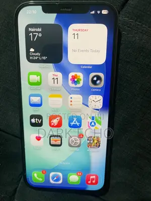 Apple iPhone 12 Pro Max 128 GB Gray