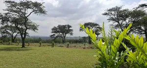Land for Sale Ranch