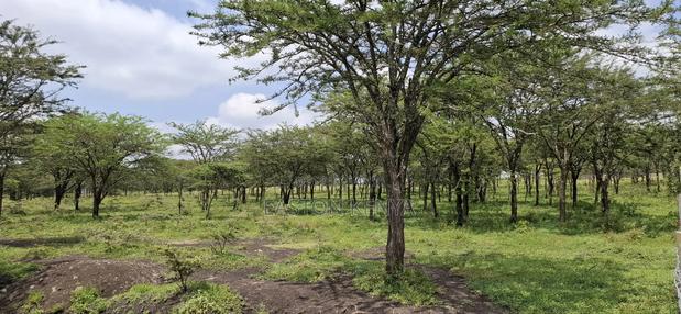 Land for Sale Ranch - thumbnail 3