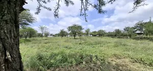 Land for Sale Ranch