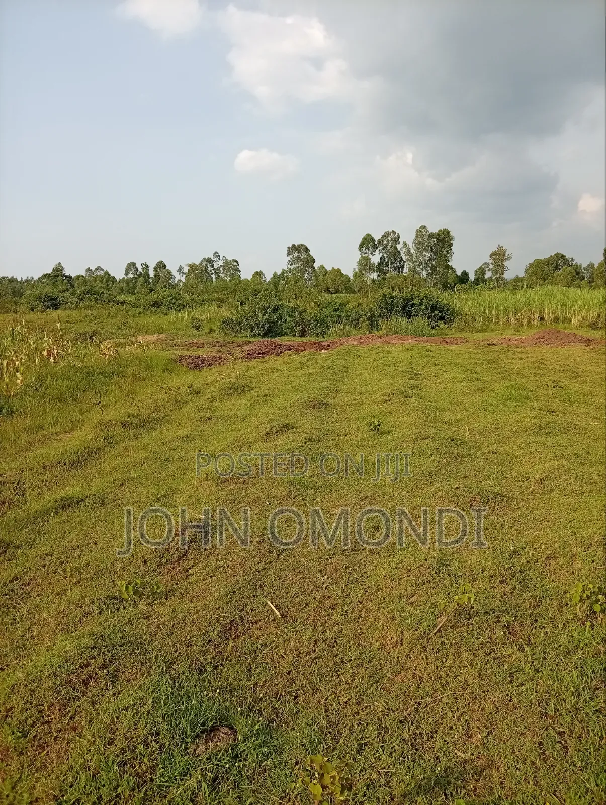 Land for Sale
