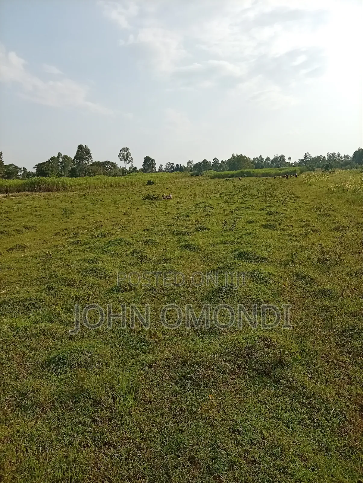 Land for Sale