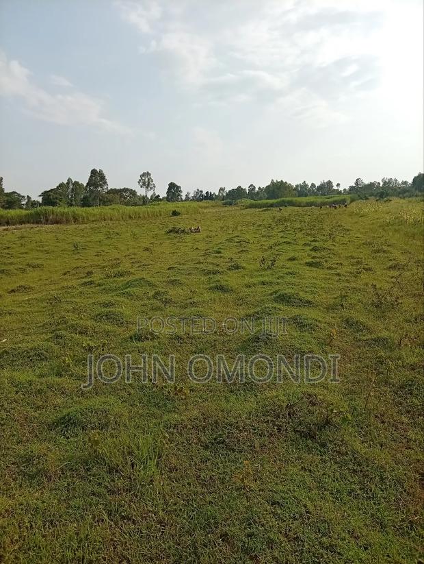 Land for Sale - thumbnail 4