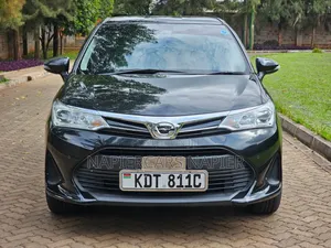 Toyota Axio 2018 Black