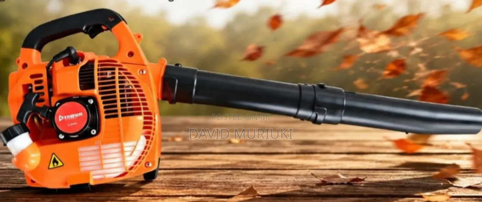 Premier 2 Stroke Leaf Blower