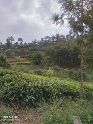 1acre Land for Sale at Makomboki, Kigumo, Muranga County