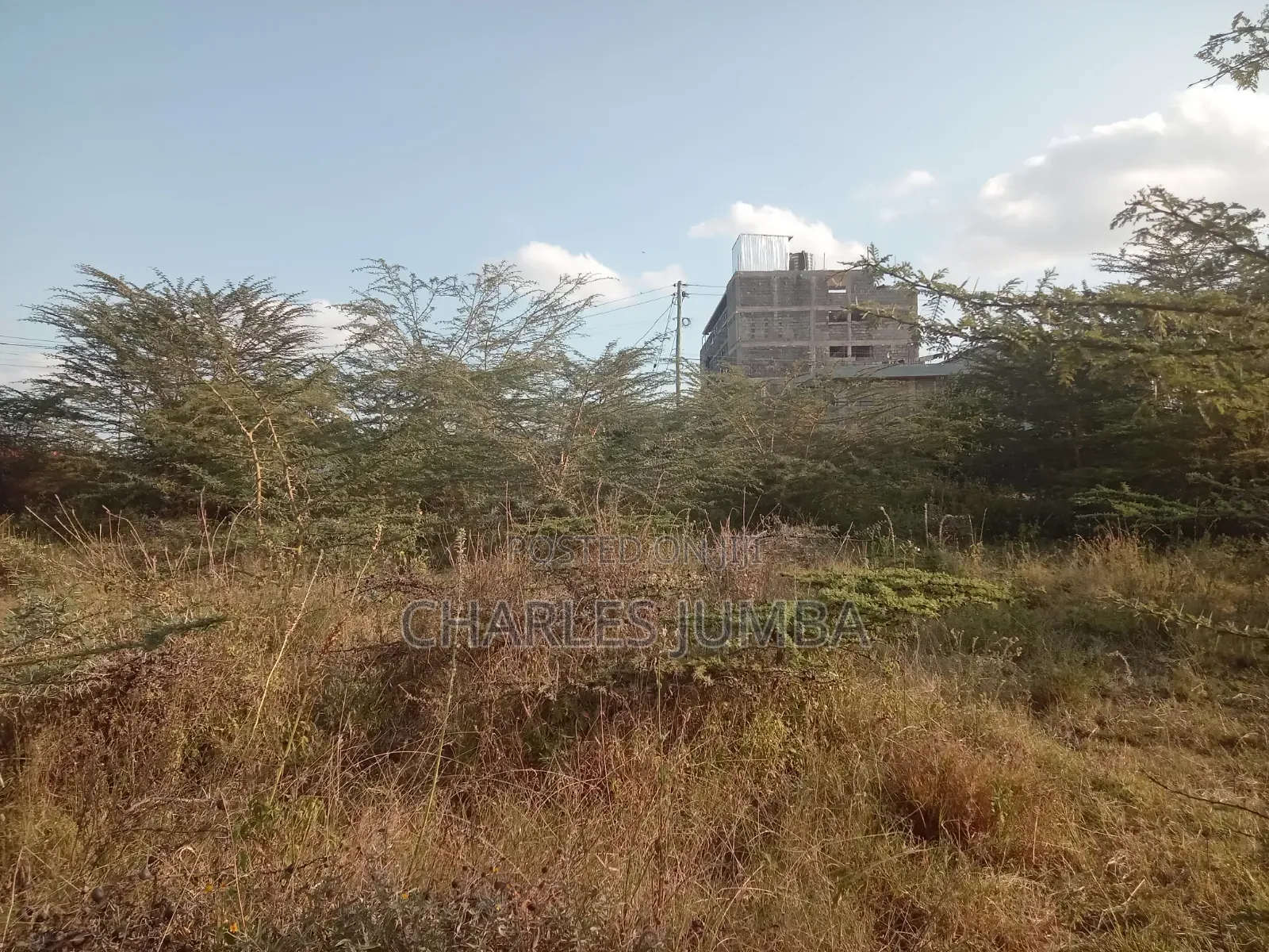Commercial Plot