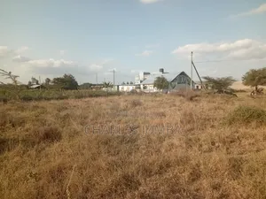 Commercial Plot