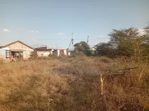 Commercial Plot