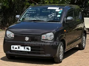 Suzuki Alto 2019 Brown