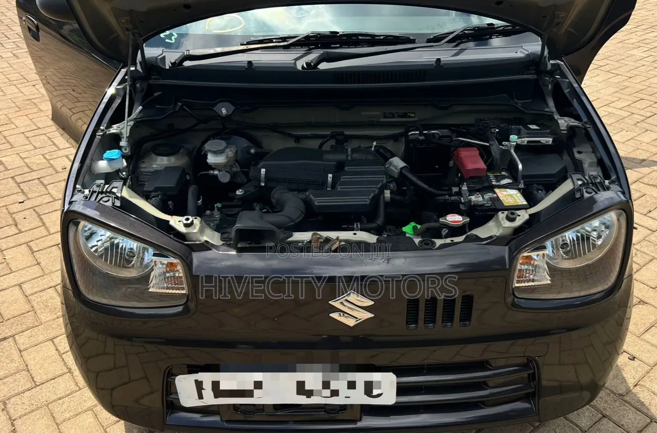 Suzuki Alto 2019 Brown