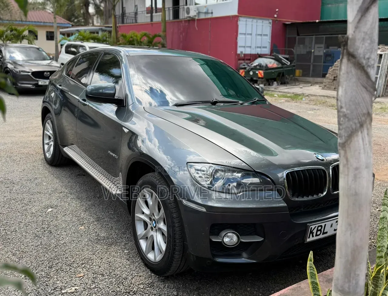 BMW X6 2010 Gray