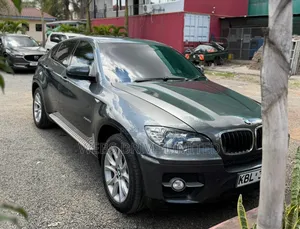 BMW X6 2010 Gray