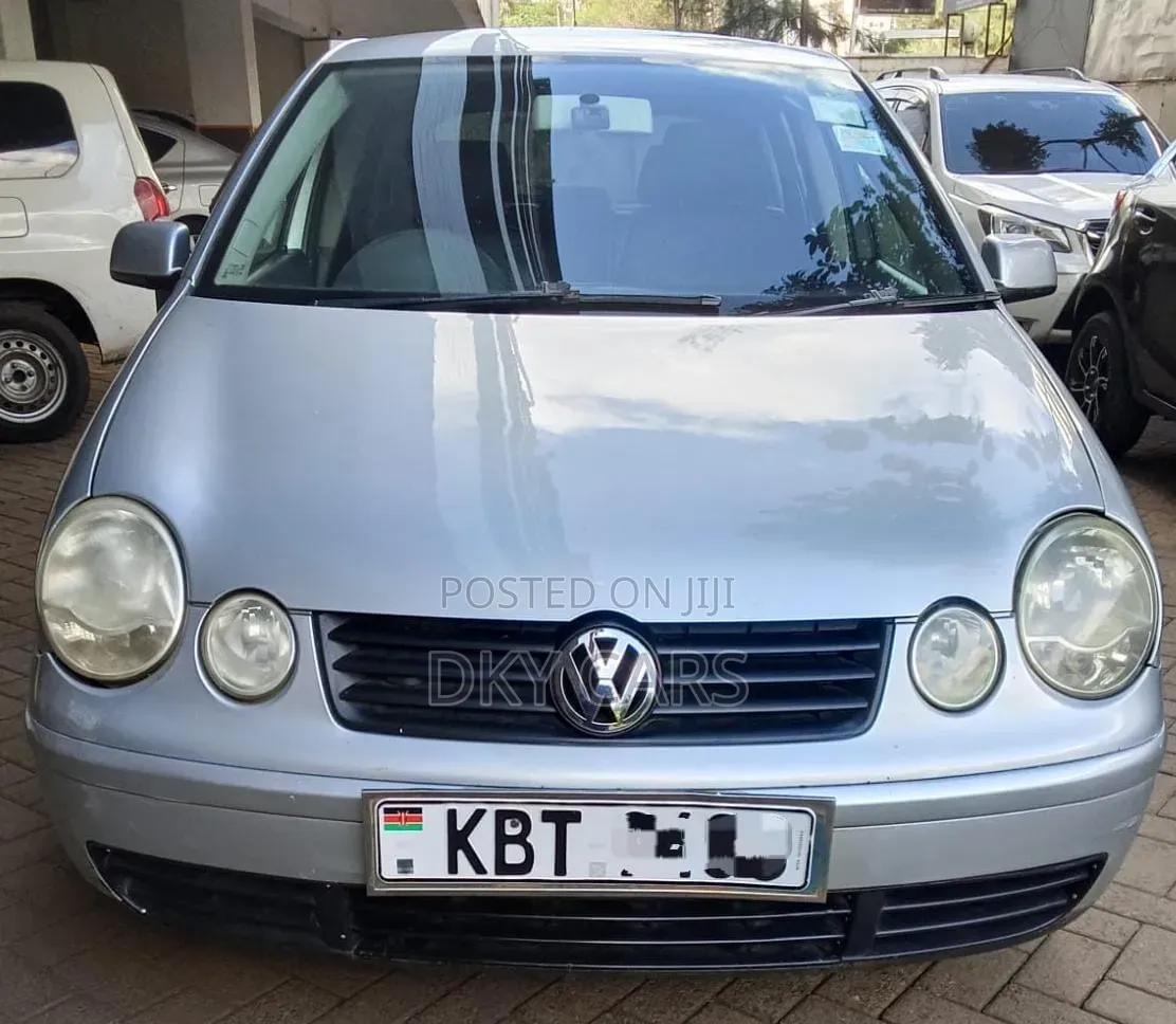 Volkswagen Polo 2009 Silver