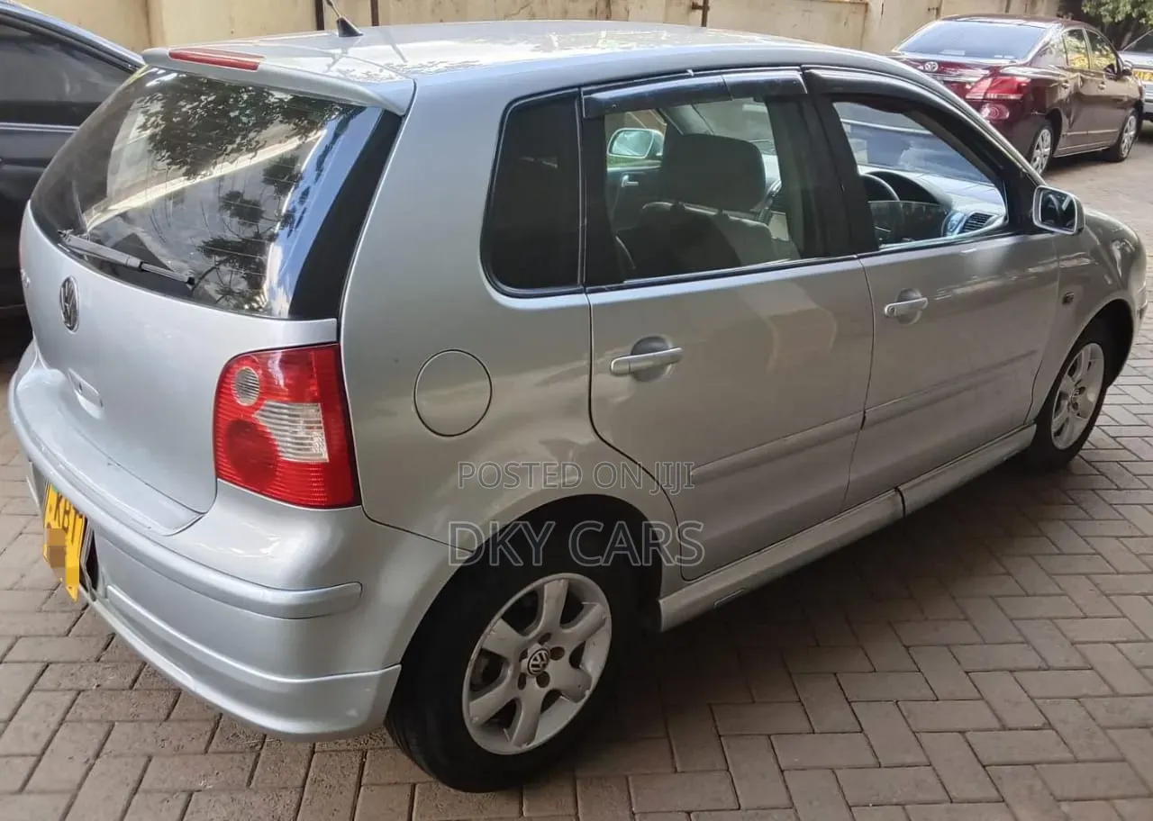 Volkswagen Polo 2009 Silver