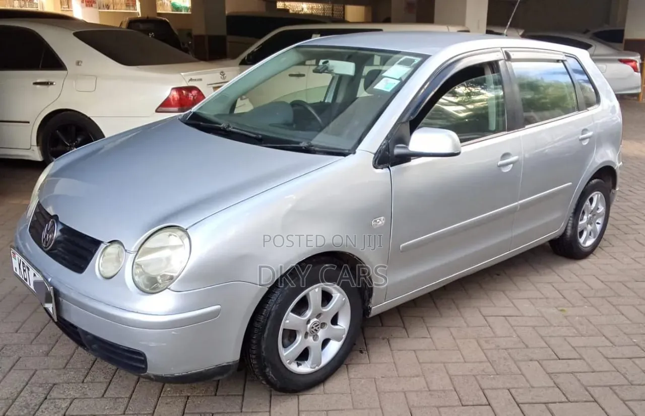 Volkswagen Polo 2009 Silver