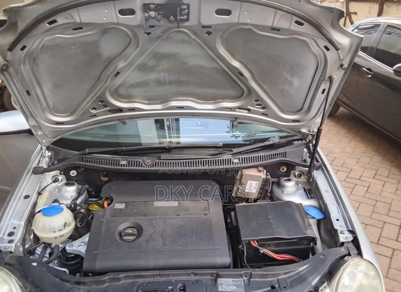 Volkswagen Polo 2009 Silver