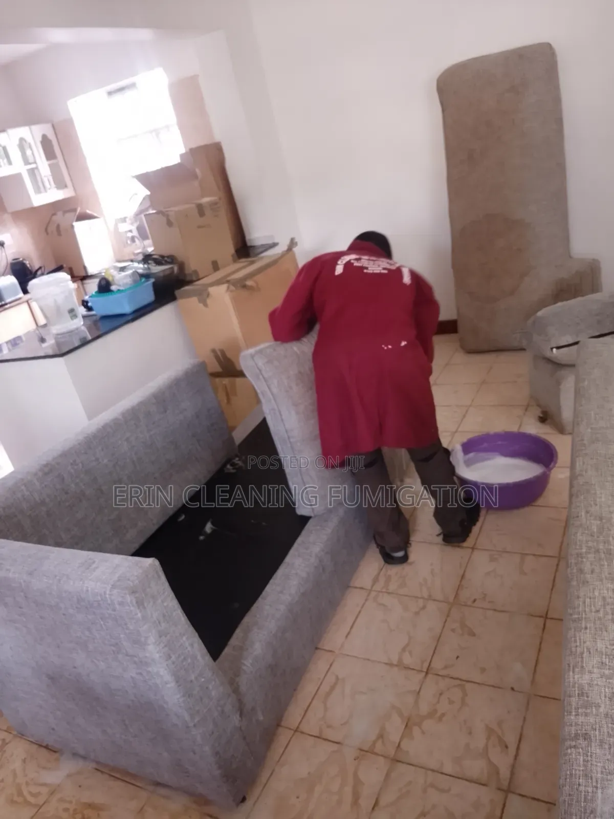Fast Dry Carpet Cleaning and Sofa