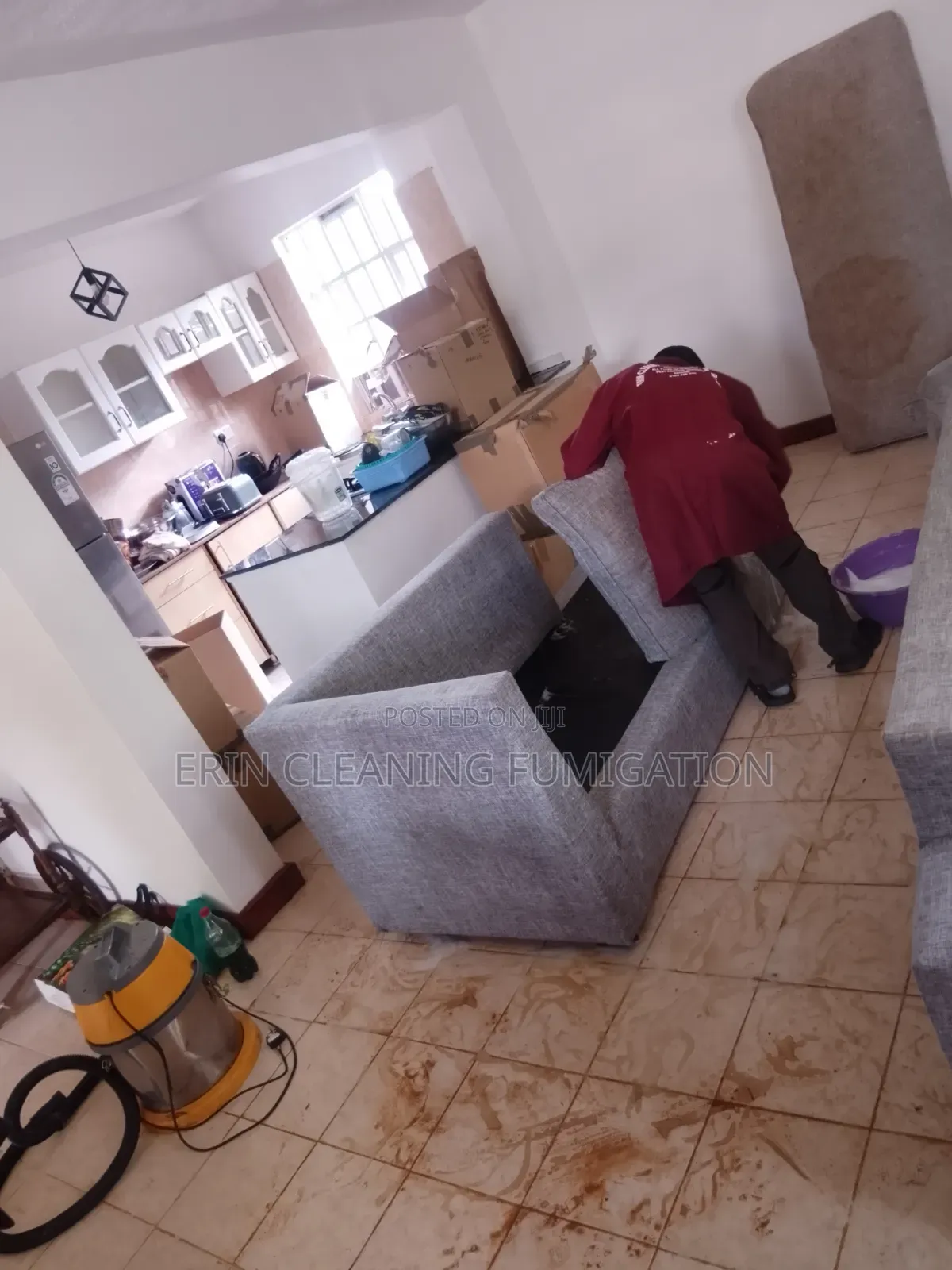 Fast Dry Carpet Cleaning and Sofa