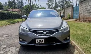 Toyota Mark X 2013 Gray