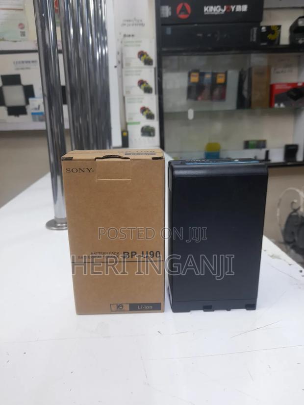 Sony Bp U90 Battery