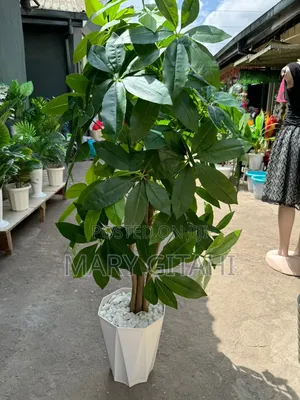 Mango Artificial Tree 1.5meter