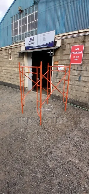 Professional Scaffolding Ladder For Building Projects