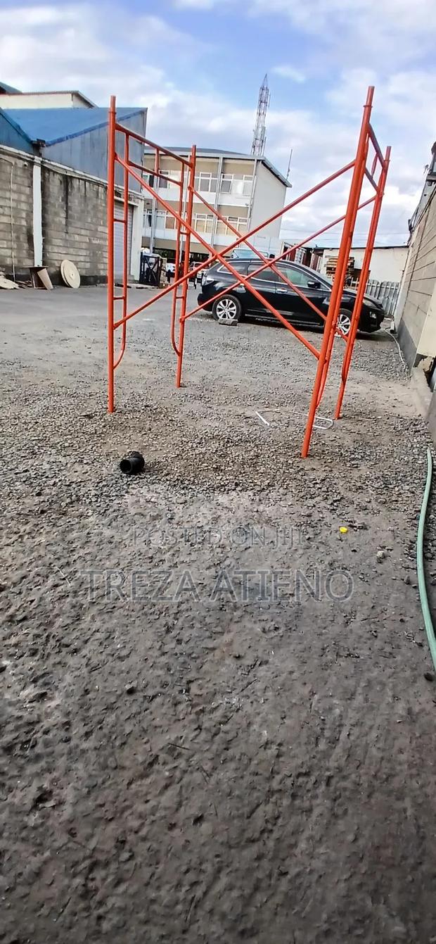 Industrial Scaffolding Ladder