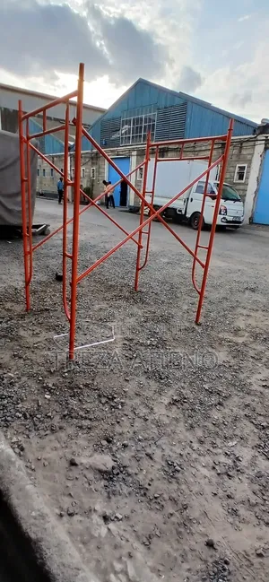 Industrial Scaffolding Ladder