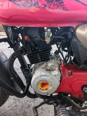 Bajaj 2024 Red