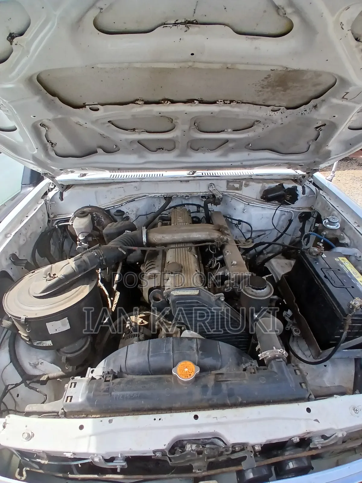 Toyota Land Cruiser 2008 White