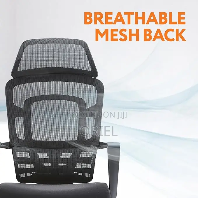 Office Chair : Executive Black Ergonomic Office Chair