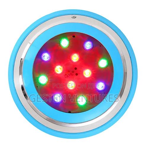24w Multicoloured Waterproof Led Swimming Pool Light R4