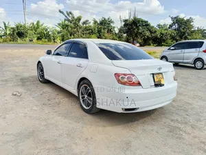 Toyota Mark X 2.5 RWD 2009 Pearl