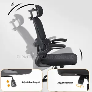Ergonomic Chair.