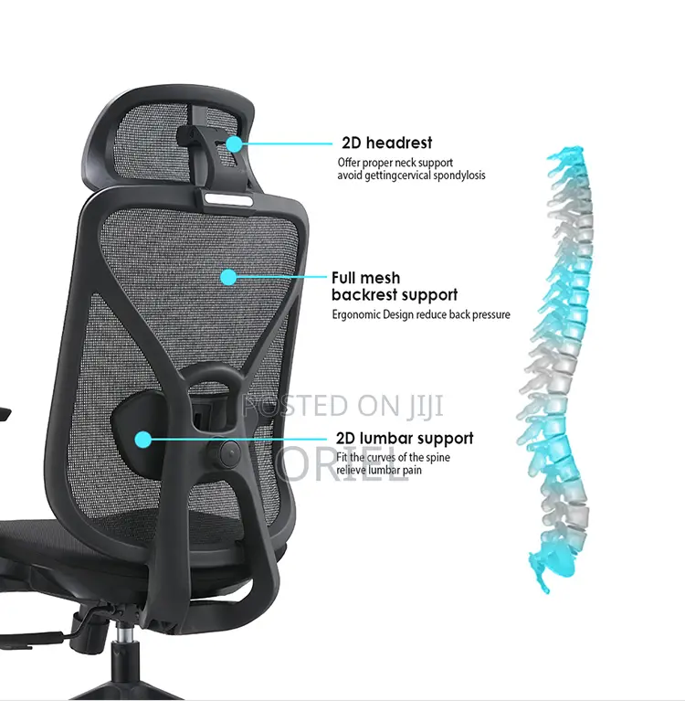 Office Chair : Staff High-Back Office Chair