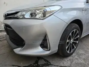 Toyota Corolla Fielder 2018 Silver