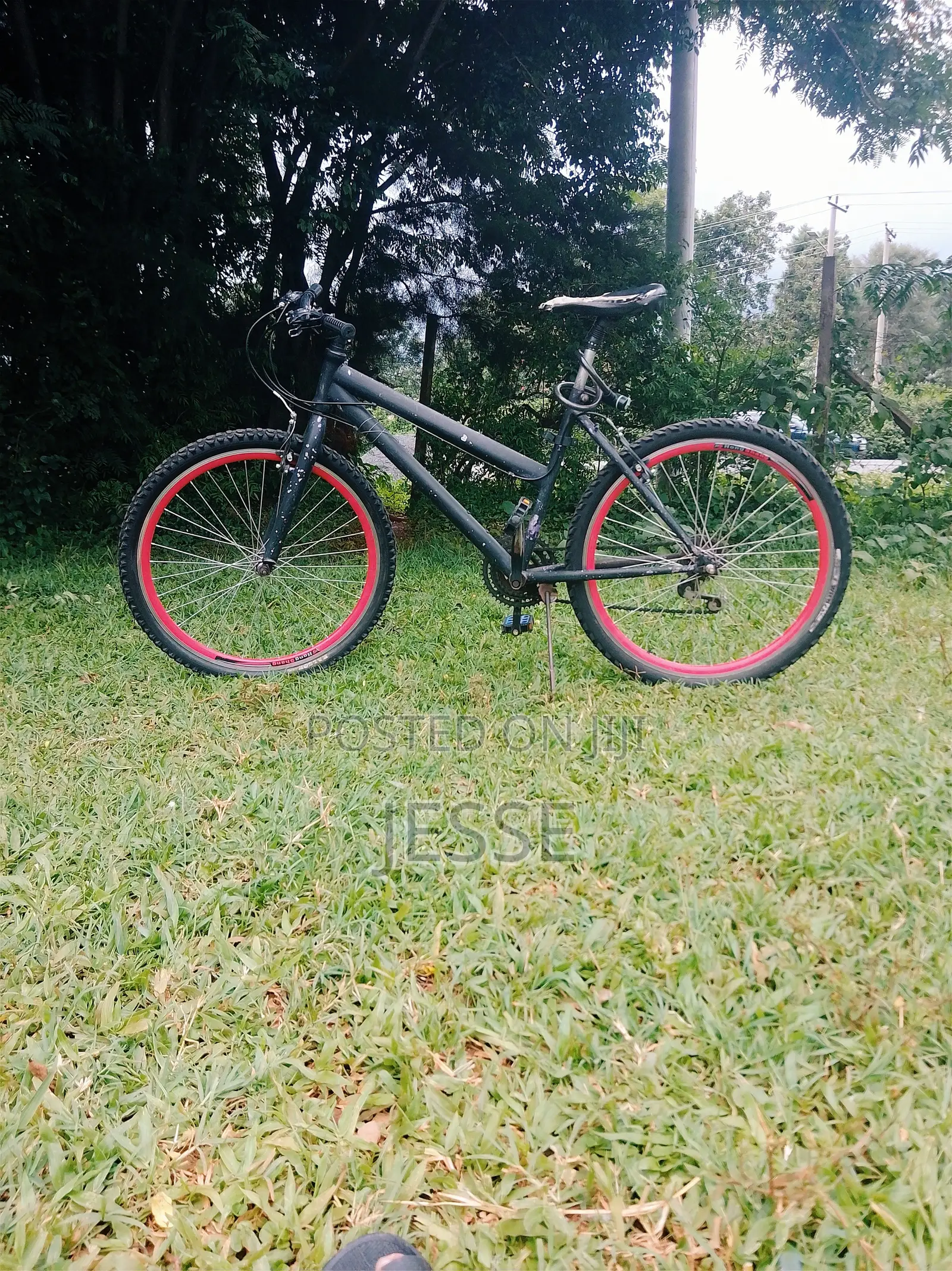 Mountain Bike