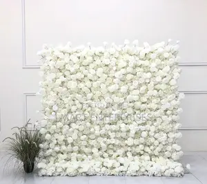 Cinderella Wall