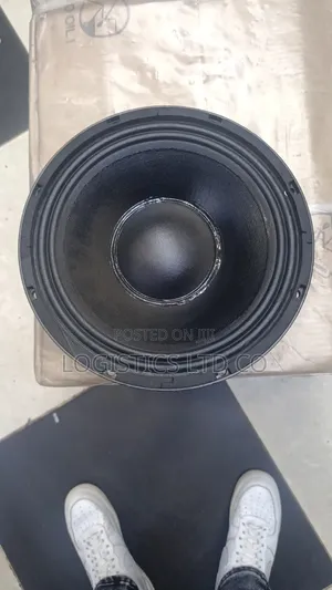 Derwel 10ah26 10 Inch 500watts Naked Speaker for Line Array