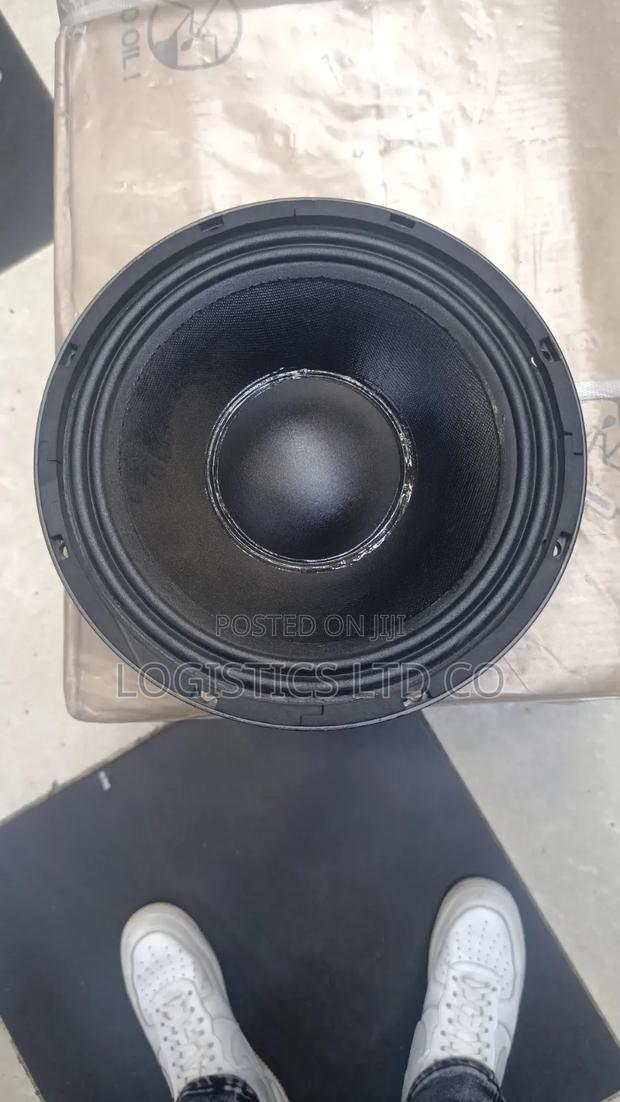 Derwel 10ah26 10 Inch 500watts Naked Speaker for Line Array - thumbnail 2